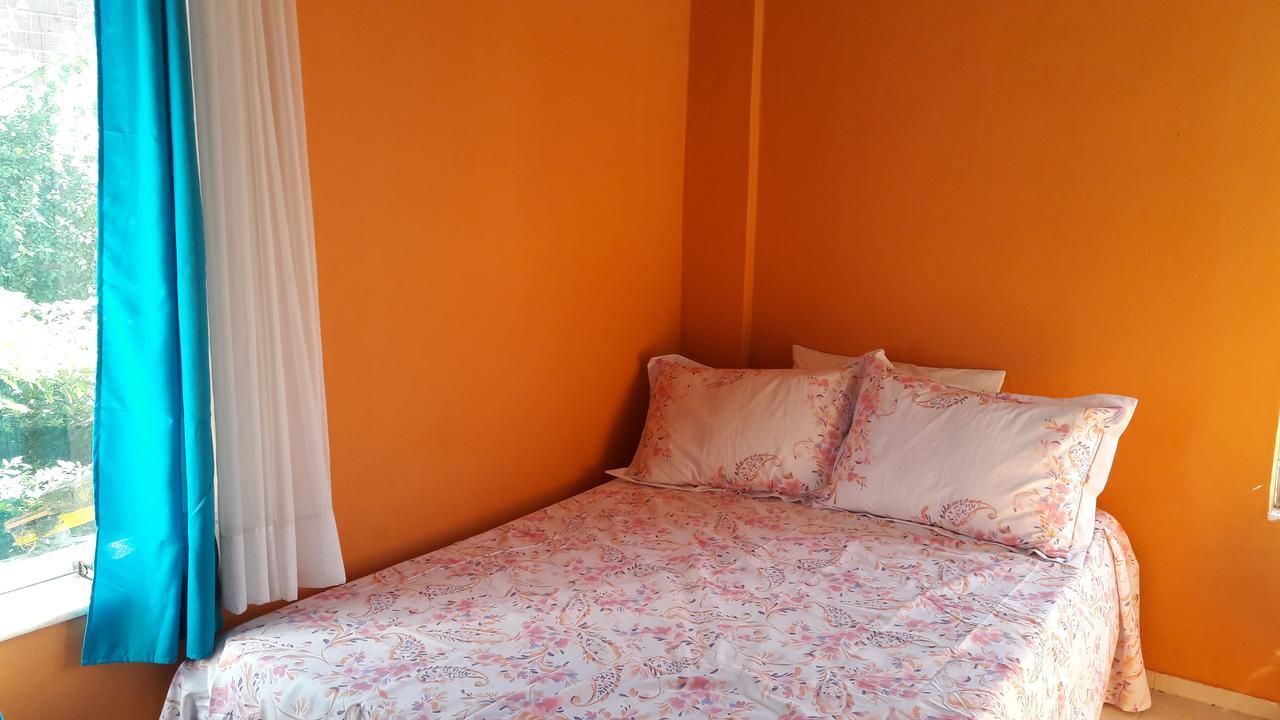 Banana Leaf Eco Hostel Rio de Janeiro Ngoại thất bức ảnh